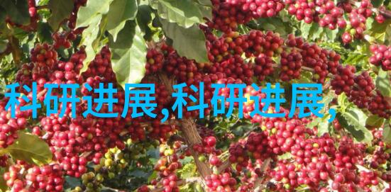 蒸汽发生器之谜究竟是什么力量让它在工业革命中扮演了至关重要的角色