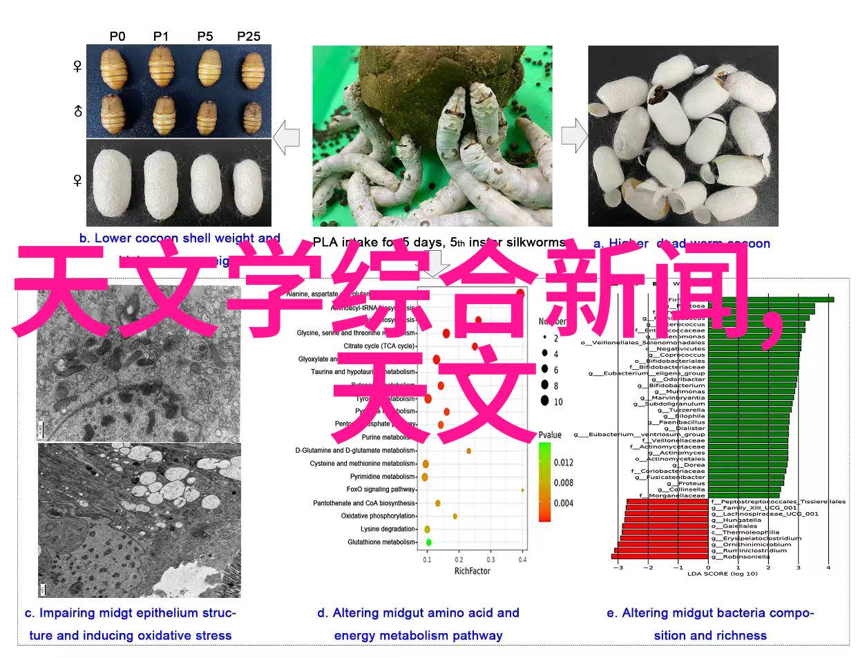 污染治理新动能高效废水处理设备革新