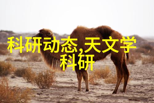 中国自主研发的芯片-国产芯片革命中国技术自立之路