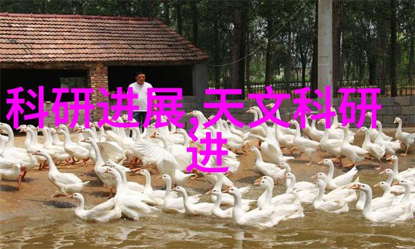 九艺装饰风格创意家居装饰解决方案