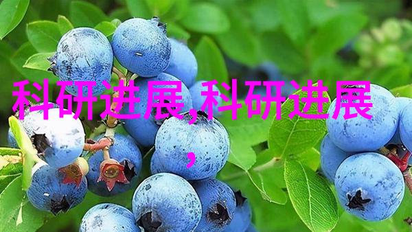 如何安装和维护小型的除尘及去污系统