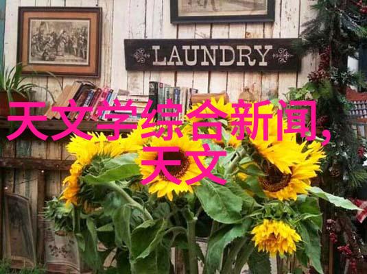 夏日清凉探索冷碗碗的文化魅力与美食故事