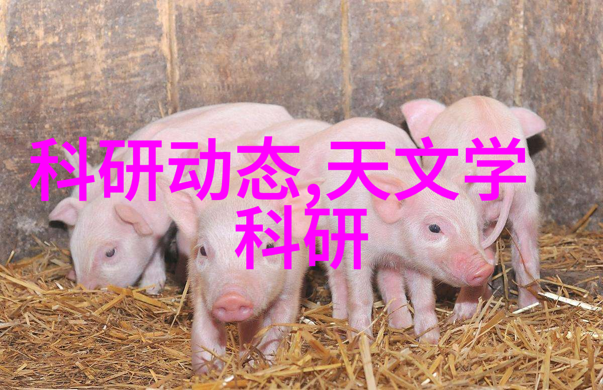 铜铁分离机器设备维护和保养需要注意什么问题