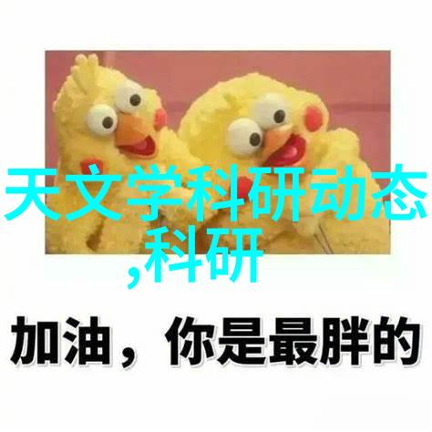 耐腐蚀的守护者不锈钢矩鞍环填料标准解析