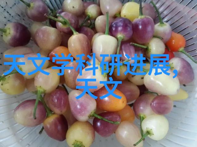 封箱机的秘密生活它们背后的幽默故事
