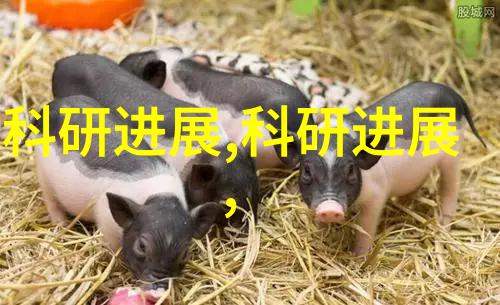 高性能PE100级聚乙烯管材的应用与优势探究
