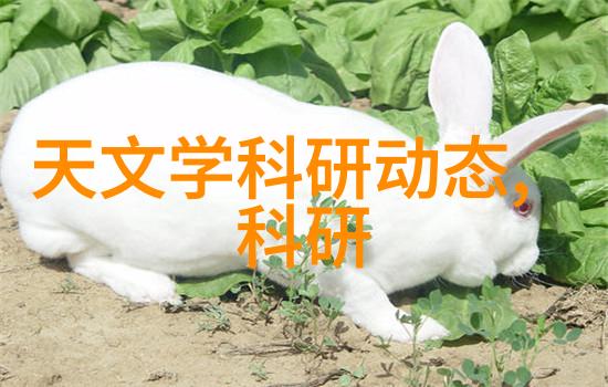 配件寻找我要这张图片里的东西