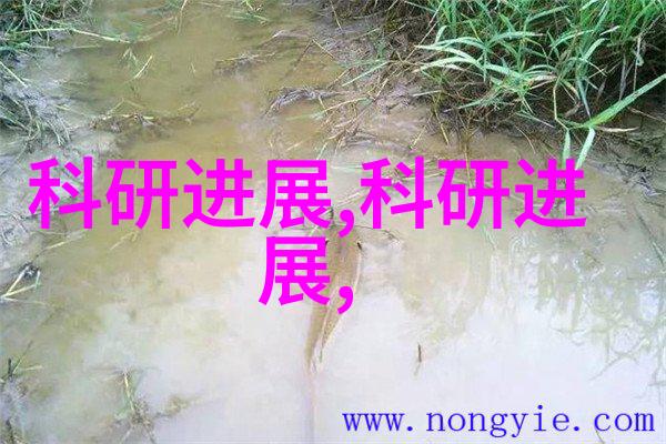 从源头到终端如何运用水质检测仪器提升供水系统质量