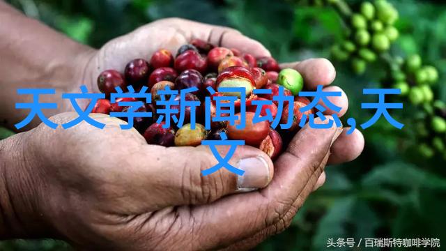 电波清新揭秘微波炉的杀菌除味神奇