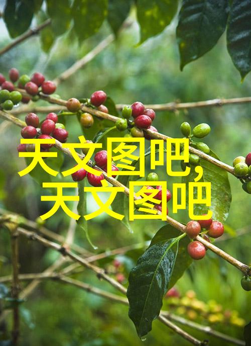 搪瓷反应釜我的实验室新伙伴