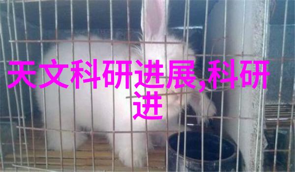 智能卡技术智能身份验证系统