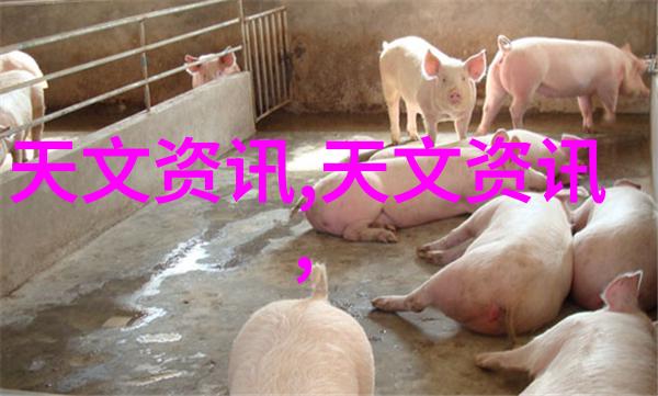 高效不锈钢管材退火技术的新纪元