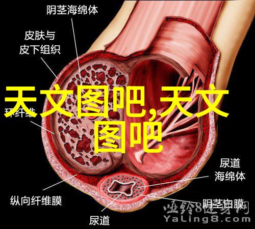 分离机配套设备及其在生产中的角色