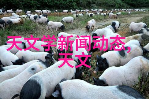 化工设备机械基础第四版解析深入理解现代化工行业的关键技术