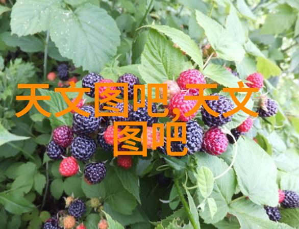 在撰写报告时应该如何处理数据分析