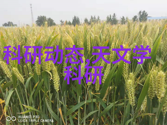金属市场风云304不锈钢价格走势探秘