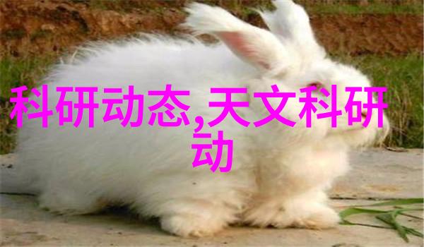 未来几年不锈钢行业预计将发生哪些变化趋势