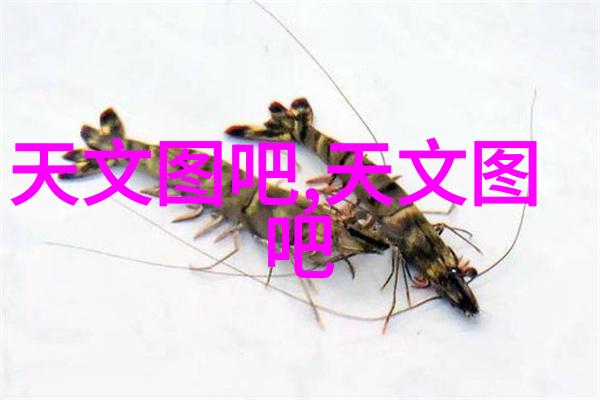 化工原料报价平台精准定价行业生态的新引擎