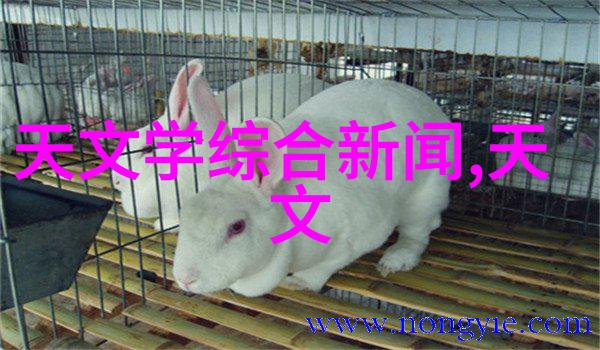 汇报之旅向上级通报项目进展