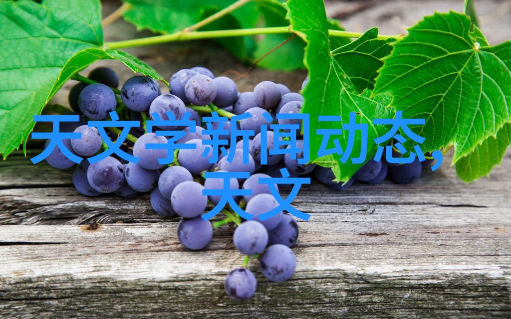 学霸们的财经梦想从世界之巅到排名泥沼的反差人生