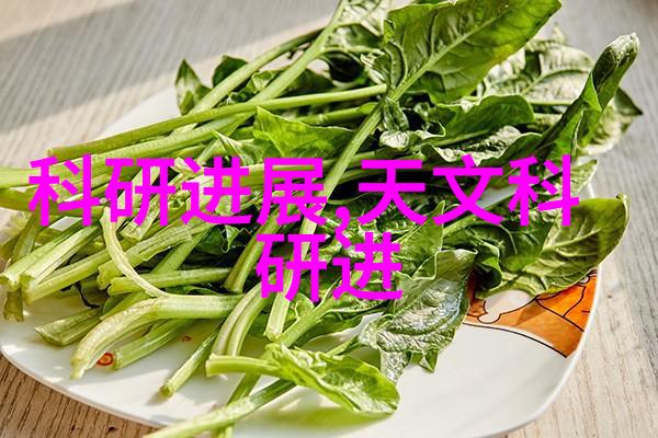 检重机精确称重系统高精度电子秤