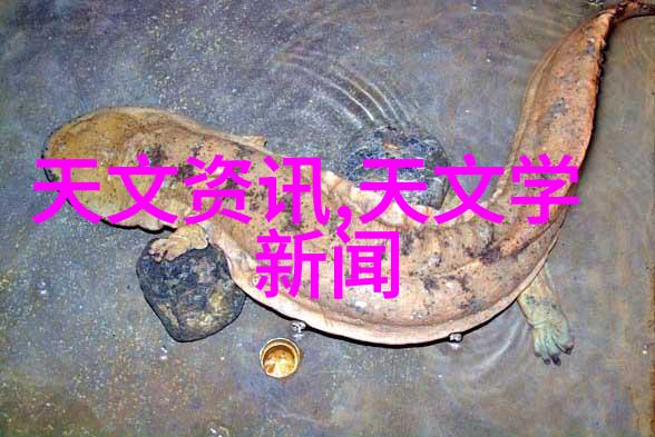 黄磷的秘密从化学元素到农药之王