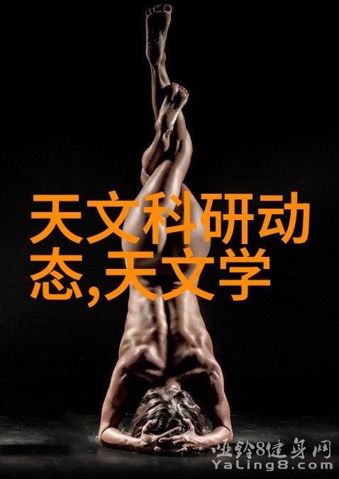 电热蒸汽发生器我是如何用它来烤鱼的