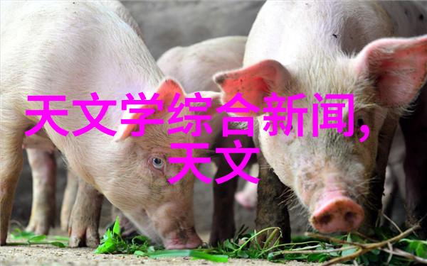 半导体与芯片的区别微电子技术中的核心分歧