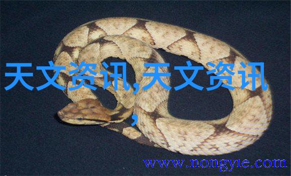 科学评价研究院深度科技创新评估与政策制定