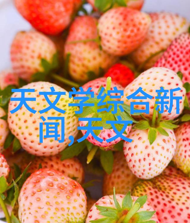 制氮机的运作原理与应用概述
