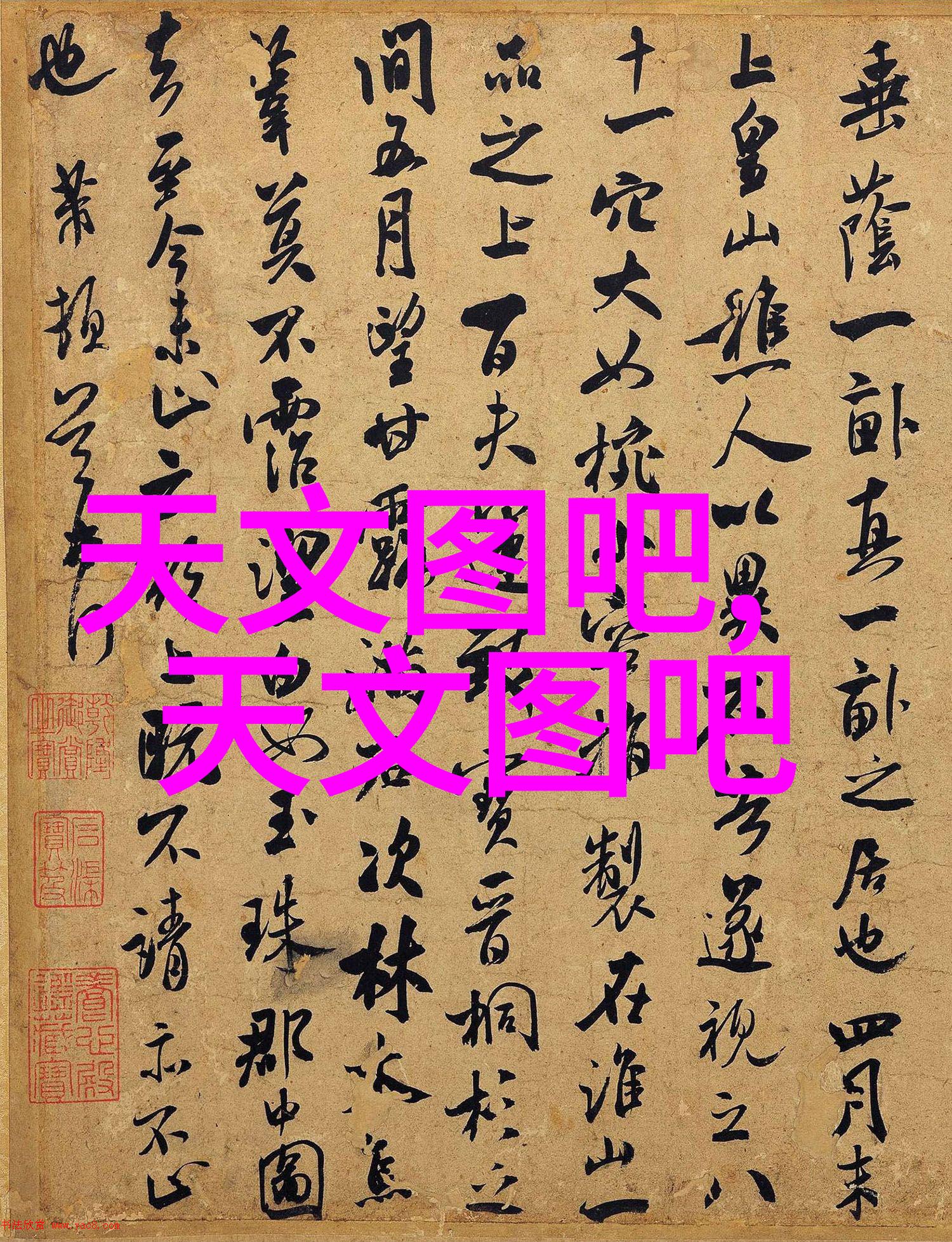 DNA复制的高效工具精准检验系统