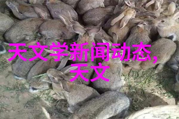 北京市水质检测机构我在这座古老而又现代的城市里发现了一个不为人知的角落