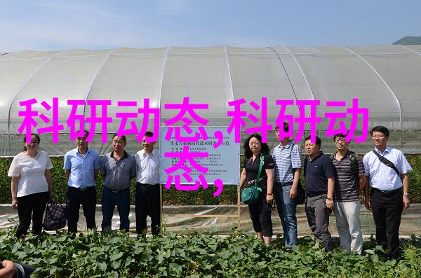厨房餐厅装修效果图亲测这10个小技巧让空间焕然一新