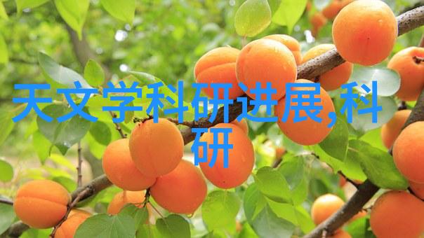 南京工业职业技术大学我在这座古城的校园里找到了自己的天空