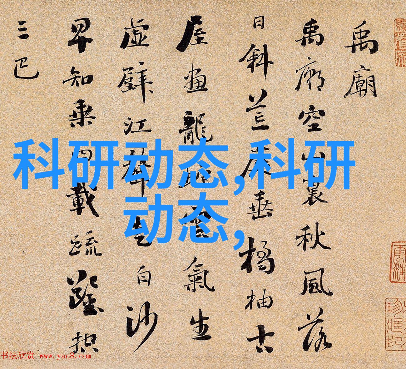 地板材料有哪些选择持久又美观吗