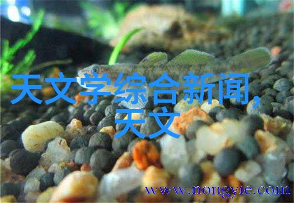 跑马拉松竟会烧脑供能