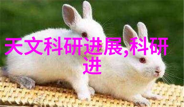 智能化机器视觉革命深度学习与计算机视觉技术的融合之旅
