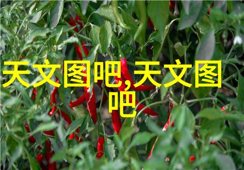 初中毕业学什么技术比较有前途-智慧的起点初中生选择未来科技领域的指南