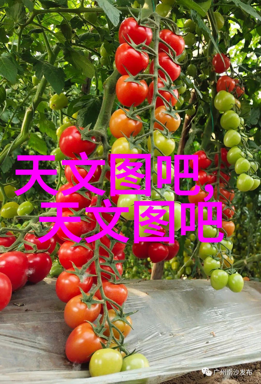 固体药品检测技术与质量控制策略研究