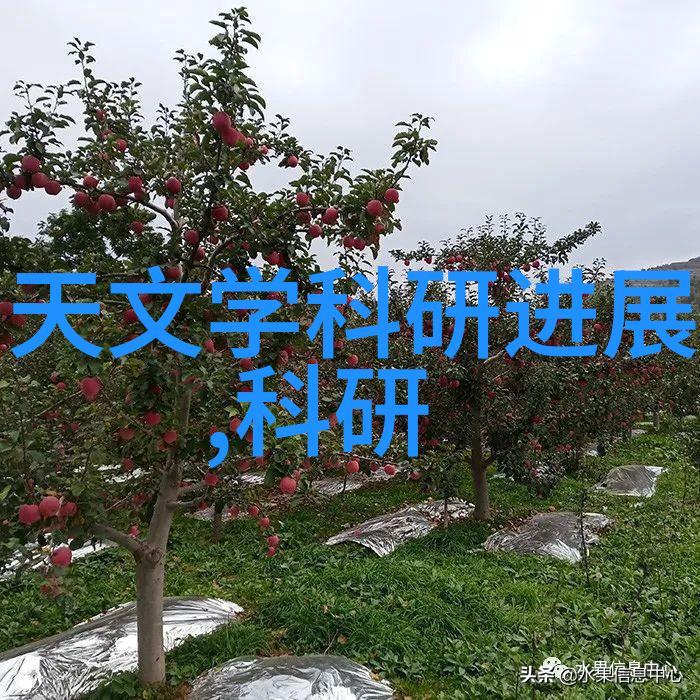 jy灌溉公交车唐小米-唐小米的绿色梦想如何用jy技术让公交车焕发新生