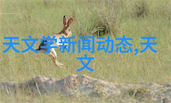 超声波技术与高压灭菌生物指示器的未来趋势