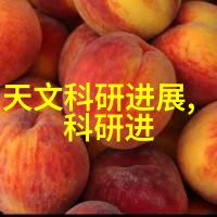 纯化水制备系统揭秘各种设备与应用