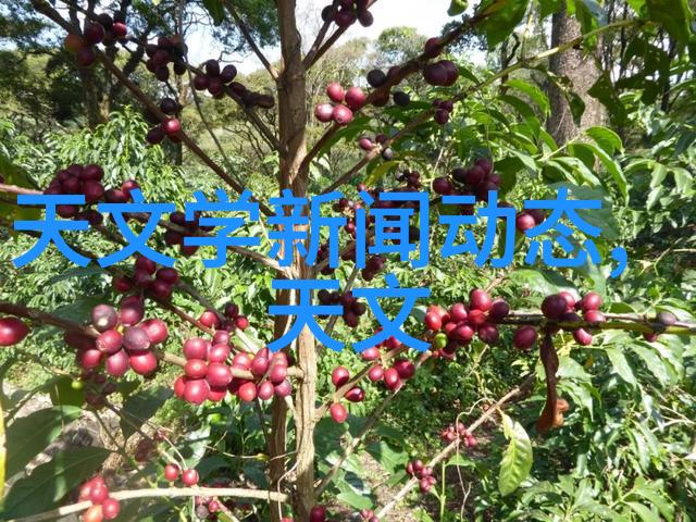 四虎最新IP作品2022年最受欢迎的四虎网络小说