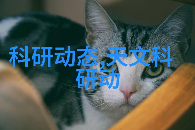 农村自来水一体化系统之道技术与实践的结合