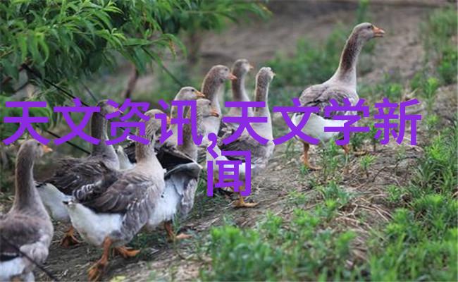 工艺改进指南将丝网波纹填料装填引入生产流程中