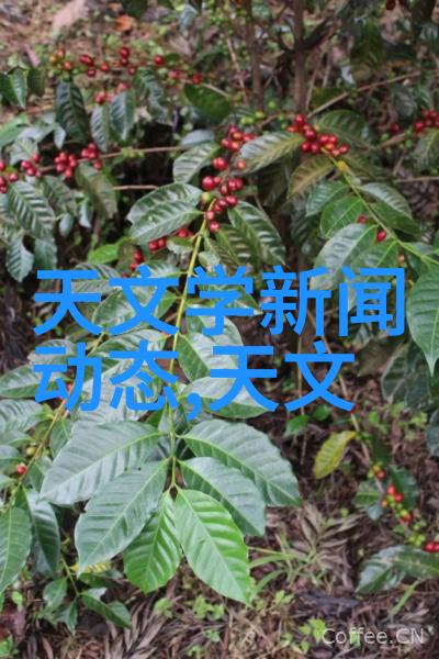 山东金色童年起诉安徽影楼商标侵权