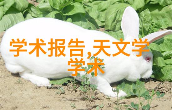 深渊中的实验固定床反应器的秘密与危机