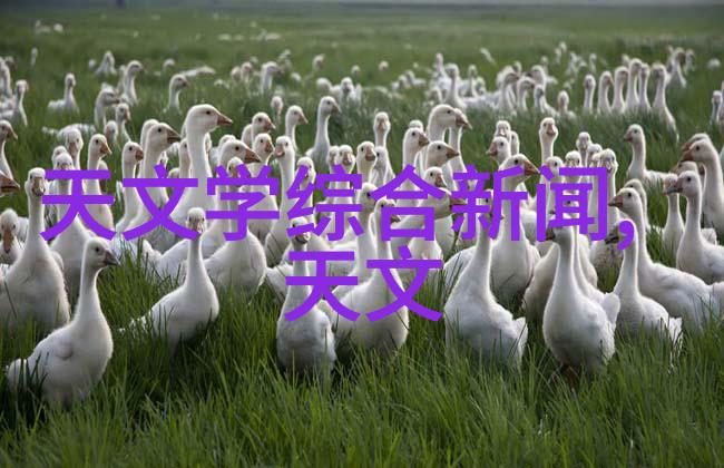 水质检测仪器维护与保养频繁检查有何重要性