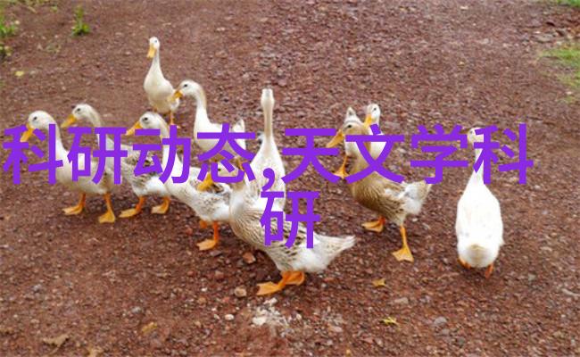简单小型污水处理设备我家的这台简易污水处理机真的省心了