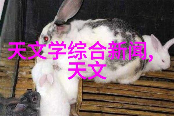 小区用小型纯净水设备我家这边的清洁之战你知道吗